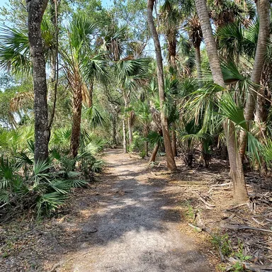 Myakka River State Park