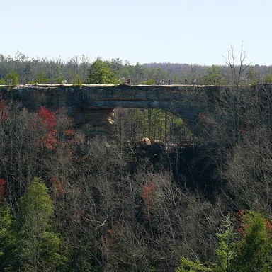 Natural Bridge State Park