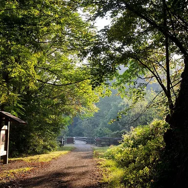New River Trail State Park