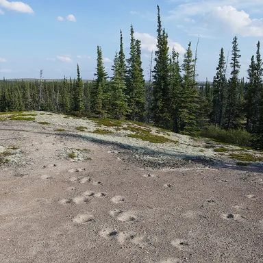 Nitainlaii Territorial Park