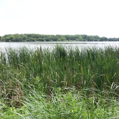 Oakwood Lakes State Park