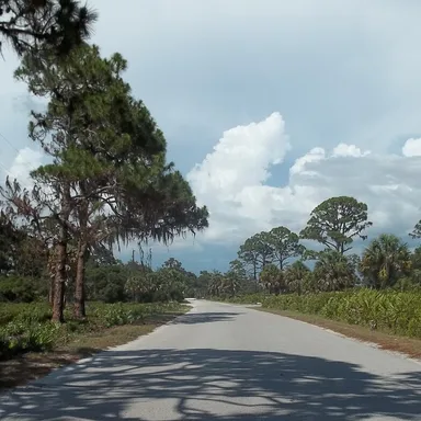Oscar Scherer State Park