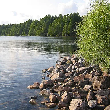 Pettigrew State Park