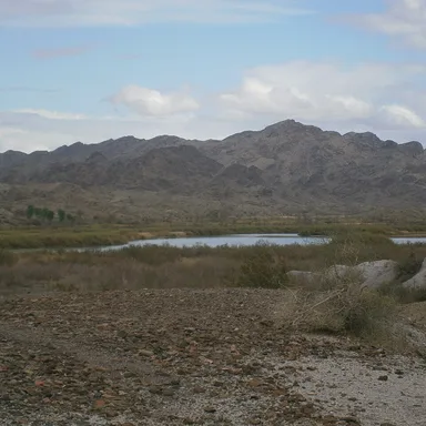Picacho State Recreation Area