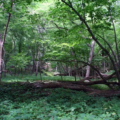 Prairie Ridge Park