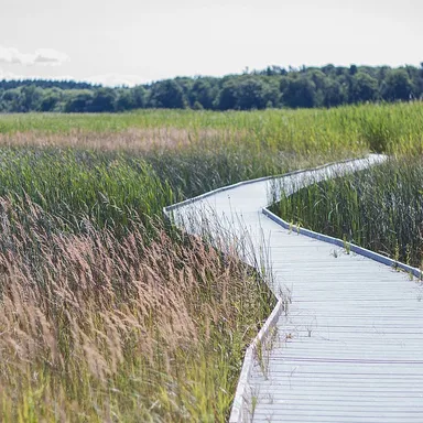 Presqu'ile Provincial Park