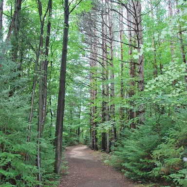 Proud Lake Recreation Area