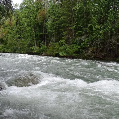 Rosebery Provincial Park