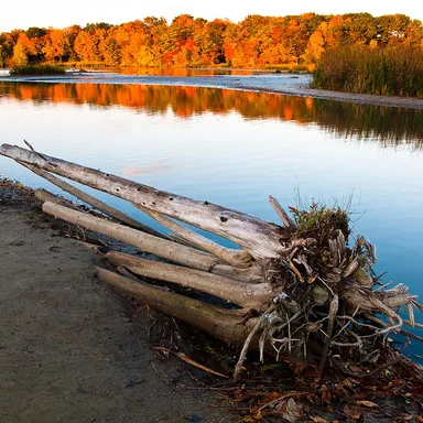 Rouge National Urban Park