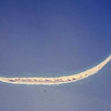 Sable Island National Park Reserve