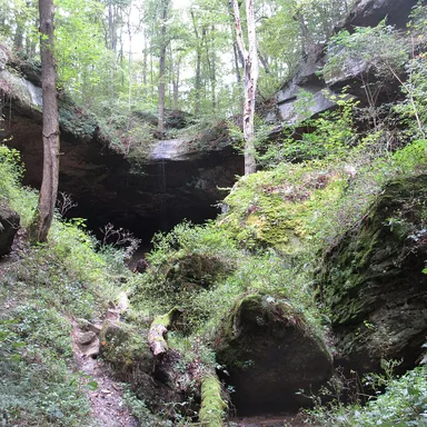 Salt Fork State Park