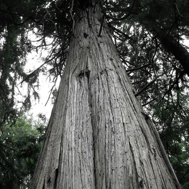 South Whidbey State Park