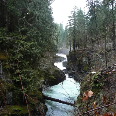 Stamp River Provincial Park