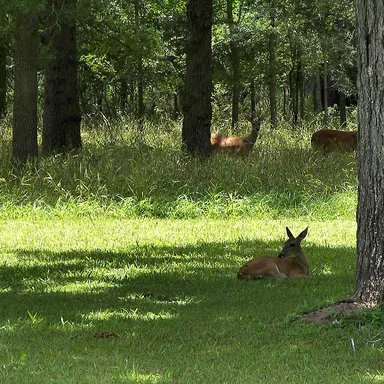 Stephen F. Austin State Park