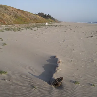 Sunset State Beach