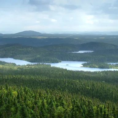 Terra Nova National Park