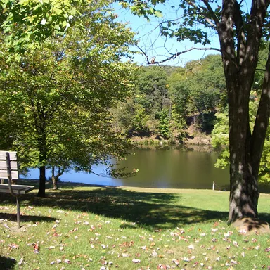 Tomlinson Run State Park
