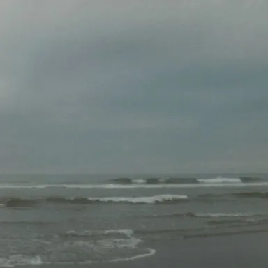 Twin Harbors State Park