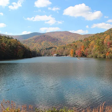 Vogel State Park