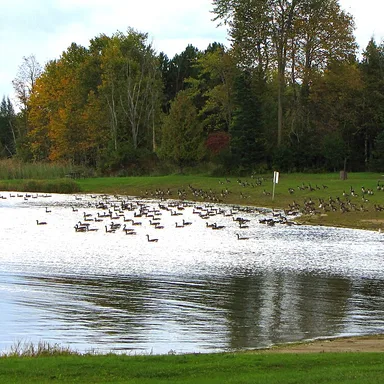Voyageur Provincial Park