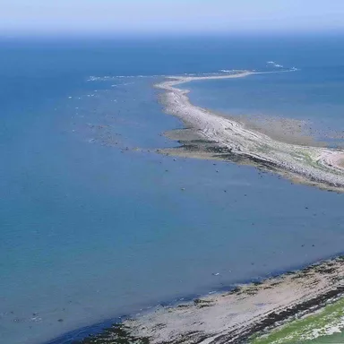 Wapusk National Park