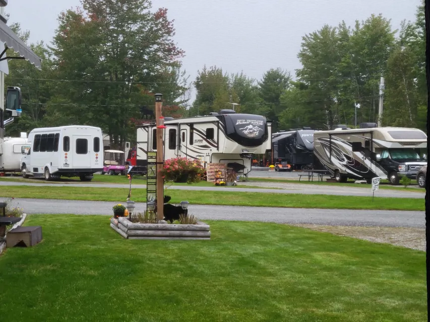 RVs parked at Timerland Acres RV Park