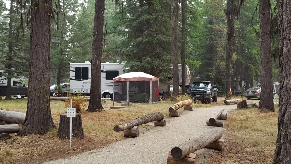 Travel trailers in a campground