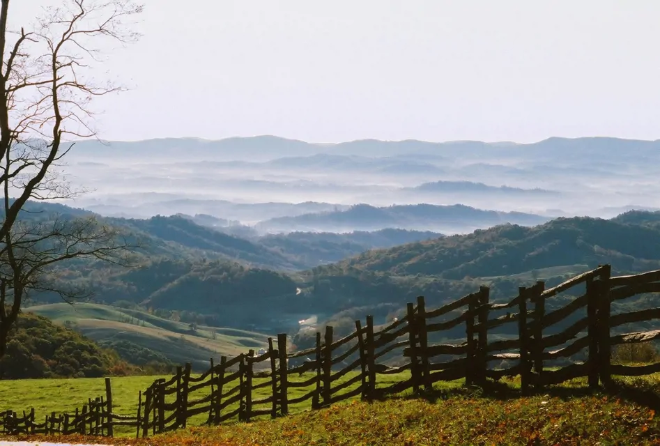 Fog in the mountains of West Virginia