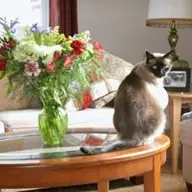 Sandra M.