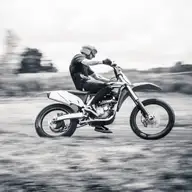 Seth L.
