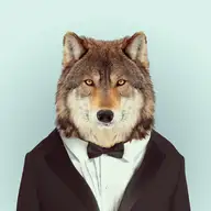 Matt P.