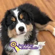 Karen D.