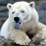 Ted O.