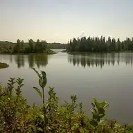 E C.