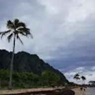 S C.