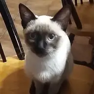 J B.