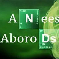 Anees A.
