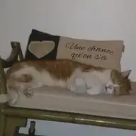 Lucie M.