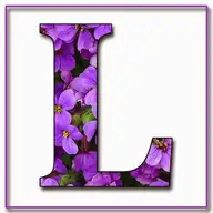 Lindsay F.