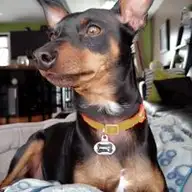 Tammy R.
