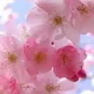 J M.