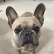 Hayley V.