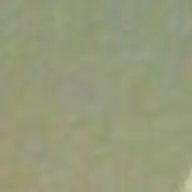 Syed F.