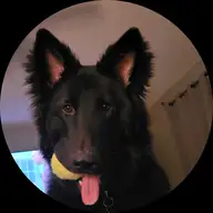 Cody L.