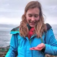 Daphne A.