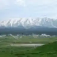 Aamir M.