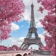 Mary C.