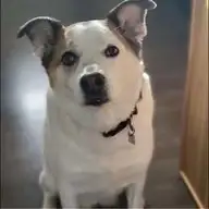 Emma C.