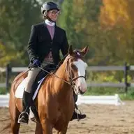 Laura N.
