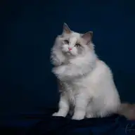 Fran M.